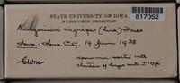 Image Associated With the Occurence